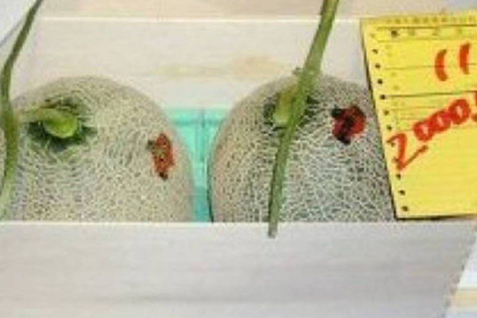 Melões leiloados por 12.400 dólares no Japão
