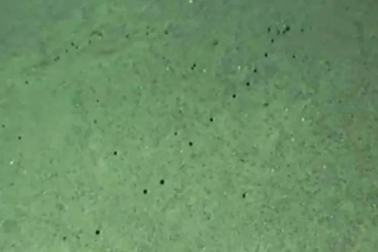 Imagem do vídeo da ANP mostra pequeno fluxo de óleo no poço (ANP)