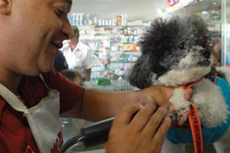 Mercado brasileiro de produtos e serviços para animais é o segundo maior do mundo (Marcus Antonius/ASN)