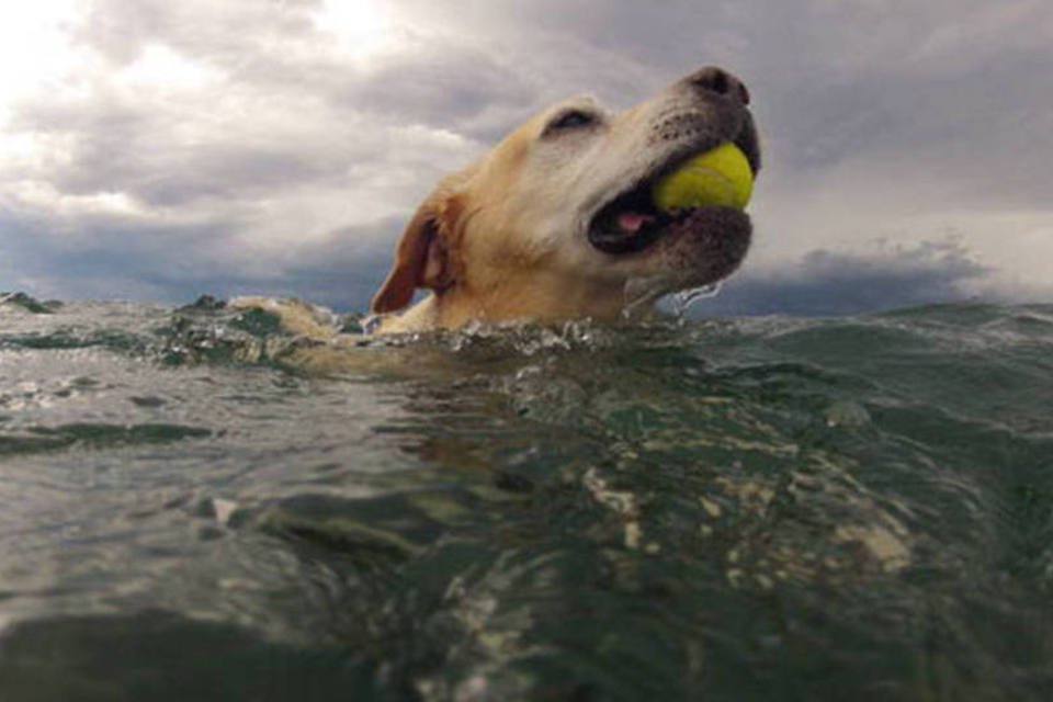 Depois de disparar mais de 100%, GoPro afunda na bolsa