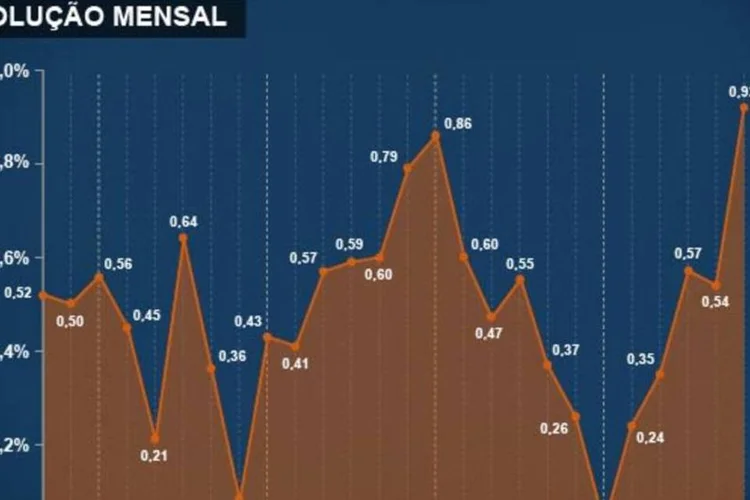 Infográfico - IPCA de dezembro/2013 (Juliana Pimenta/EXAME.com)