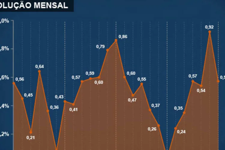 Infográfico - IPCA de janeiro de 2014 (Juliana Pimenta/EXAME.com)