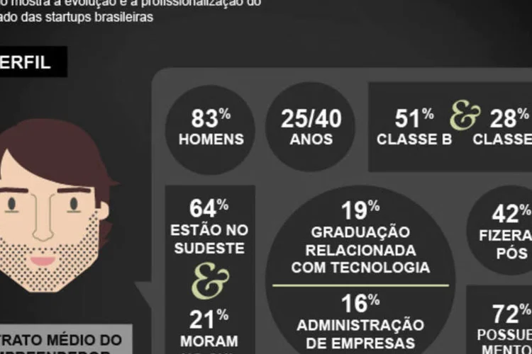 Infográfico - O perfil do empreendedor digital brasileiro (Juliana Pimenta/EXAME.com)