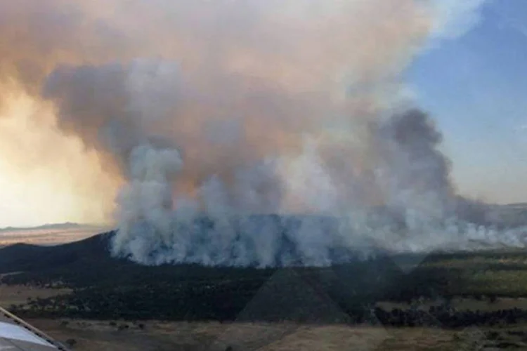 Incêndio na Austrália: as temperaturas alcançaram os 45 graus centígrados no oeste deste estado
 (AFP)