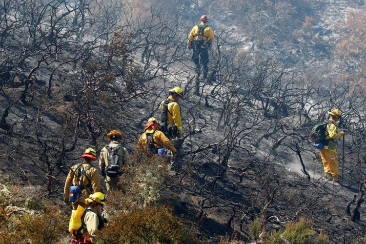 
	Inc&ecirc;ndios: esfor&ccedil;os de 4.200 bombeiros foram dificultados pelas condi&ccedil;&otilde;es clim&aacute;ticas ruins, a umidade muito baixa e temperaturas cada vez maiores
 (Michael Fiala / Reuters)