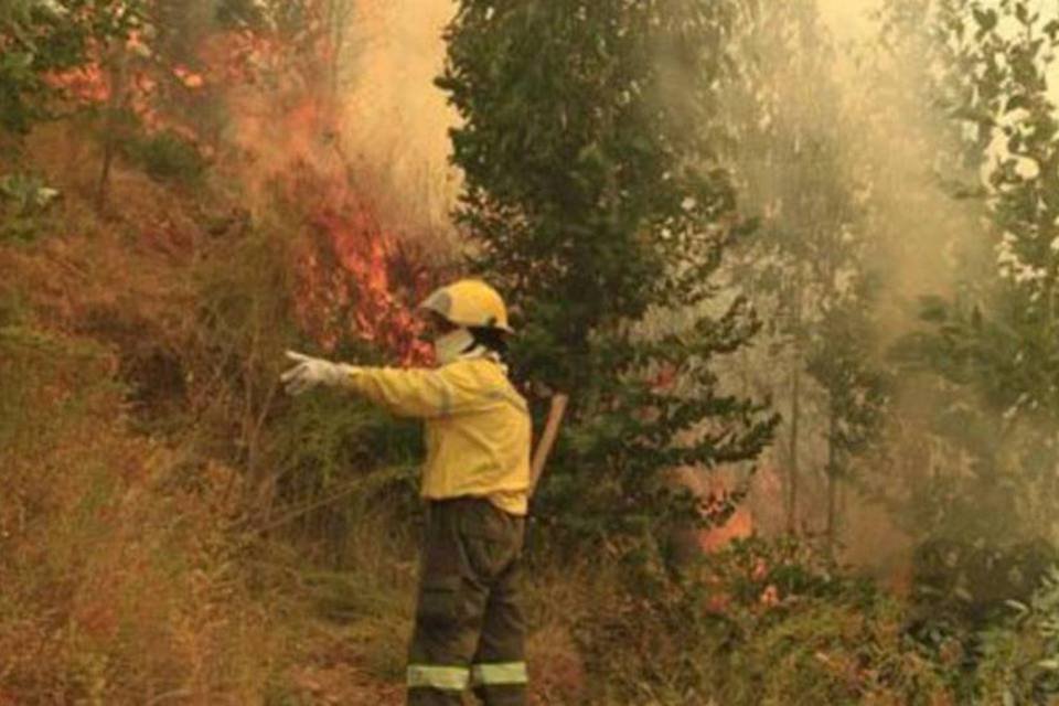 Incêndios no Chile devastaram mais de 40 mil hectares de floresta