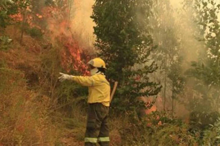 Bombeiro enfrenta as chamas em Quillón: mais de 20 focos de incêndio no país  (Alejandro Zoñes/AFP)