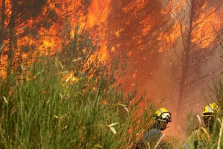 Bombeiros atuam em incêndio: até o momento, se contabilizaram em Portugal 20.930 hectares calcinados pelos incêndios, e as autoridades prenderam 16 pessoas  (Jordi Ribot/Reuters)