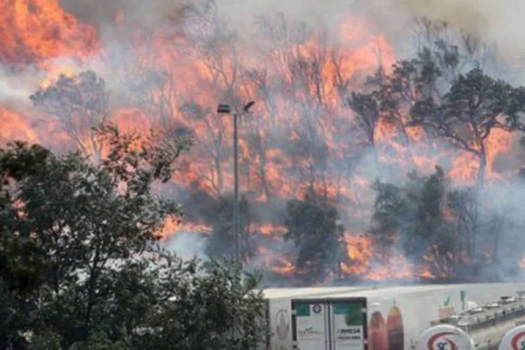 Fogo na Espanha: o corpo dos Agentes rurais calculou que o perímetro do incêndio é de aproximadamente 63 km (Jordi Ribot Punti/AFP)
