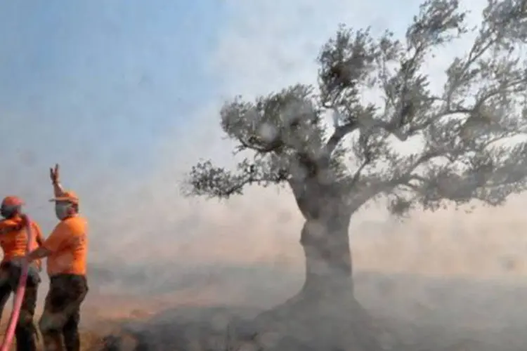Diversos eventos naturais devastaram várias regiões do planeta, como os incêndios causados pelo aumento da temperatura
 (Louisa Gouliamaki/AFP)