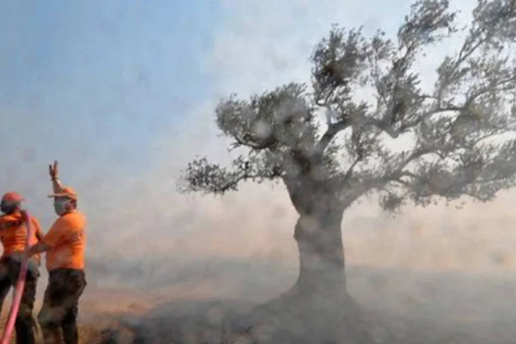 Diversos eventos naturais devastaram várias regiões do planeta, como os incêndios causados pelo aumento da temperatura
 (Louisa Gouliamaki/AFP)