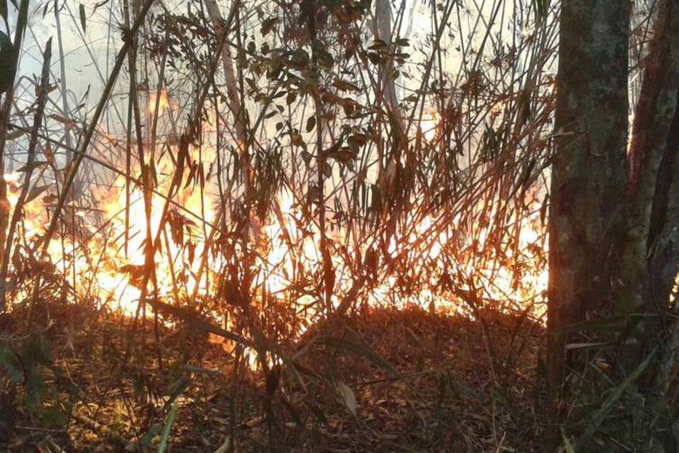 Temporal interrompe incêndio em parque nacional no RJ