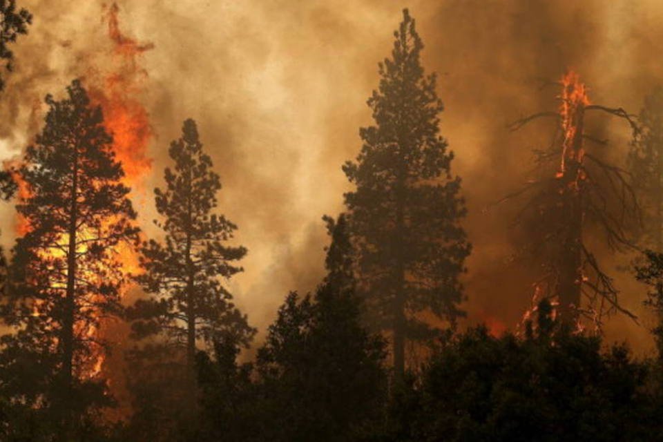 Incêndio em parque nos EUA avança e ameaça sequoias gigantes