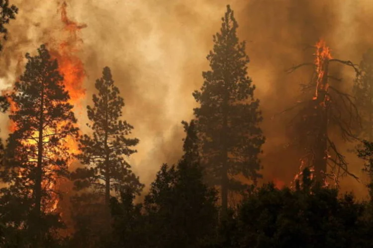 Incêndio no Parque Nacional de Yosemite, na Califórnia, já afeta mais de 1.200 hectares (Getty Images)