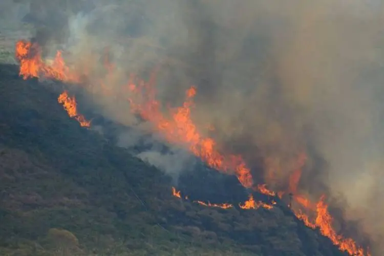 Sucessão de incêndios florestais de grandes proporções se alastram na Região Serrana do Rio (Fernando Frazão/ABr)