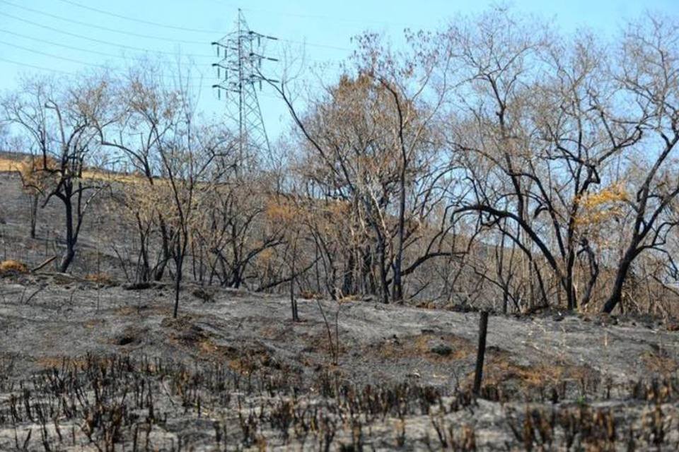 Lata pode ser prova de crime no incêndio da Serra dos Órgãos