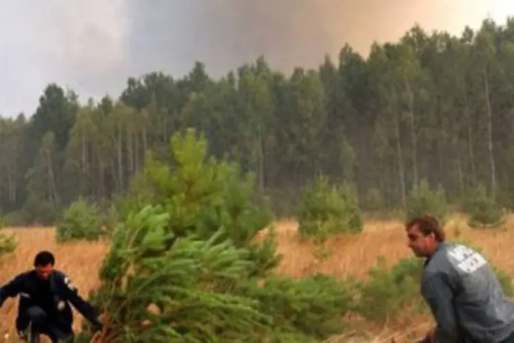 Bombeiros tentam controlar incêndio em uma floresta na Rússia (.)
