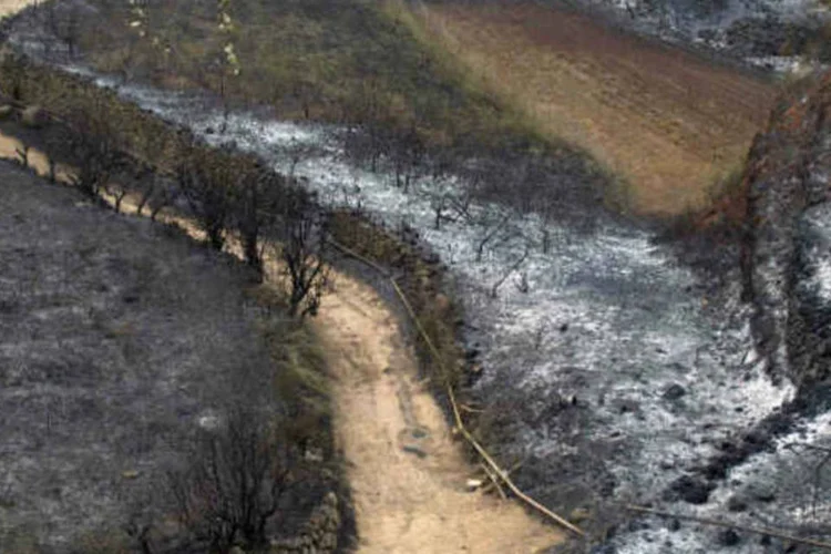 Incêndios na Espanha (REUTERS/Santiago Ferrero)