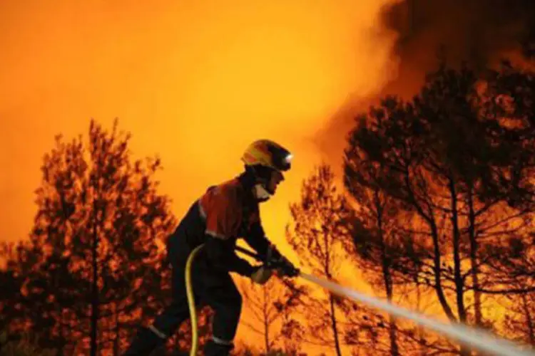 
	Inc&ecirc;ndio: o fogo arrasou 50 hectares de planta&ccedil;&otilde;es e florestas de eucalipto
 (Pedro Armestre/AFP)