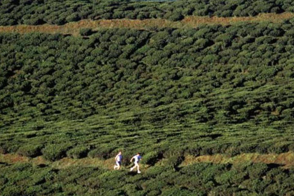 MPF promove audiência pública sobre Código Florestal