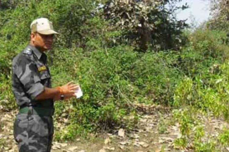Policial indiano examina o local onde a turista suíça foi violentada, perto de Gwalior (©afp.com)