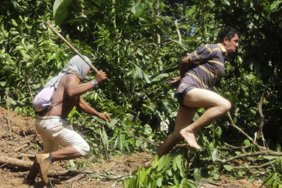 Índios do Maranhão declaram guerra contra madeireiros