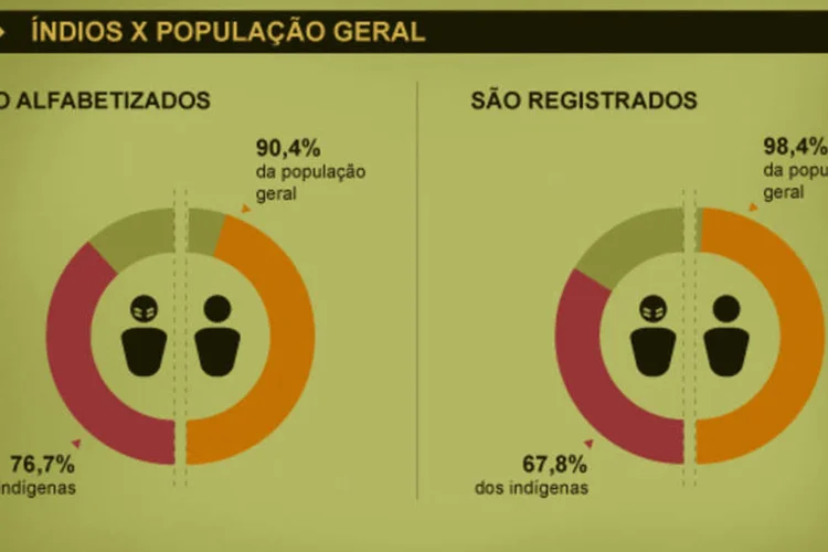 Infográficos: índios no censo 2010 (Beatriz Blanco / EXAME.com)