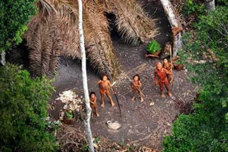 Tribo indígena fotografada pela Funai (Divulgação/Funai/Divulgação)