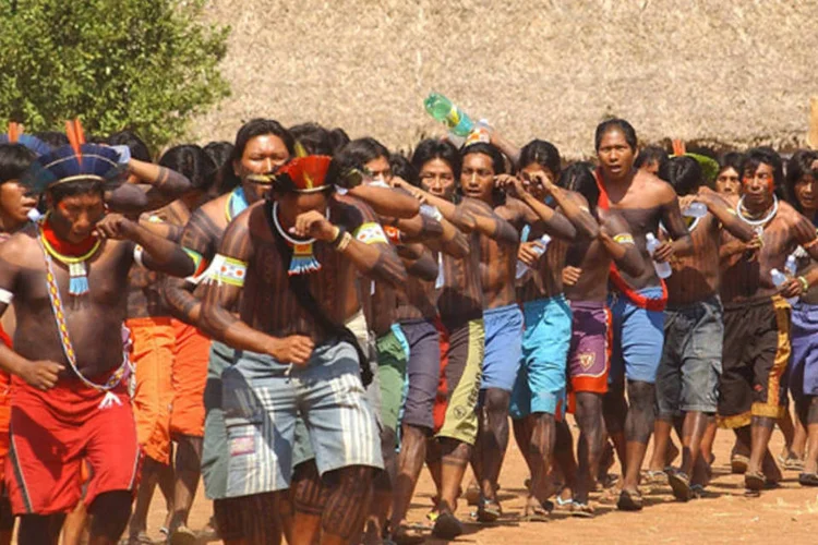 
	Terra Ind&iacute;gena Kayap&oacute; (Par&aacute;): o comit&ecirc; gestor da PNGATI ficar&aacute; respons&aacute;vel pela coordena&ccedil;&atilde;o da execu&ccedil;&atilde;o da pol&iacute;tica ind&iacute;gena e ser&aacute; integrado por oito representantes governamentais e oito representantes ind&iacute;genas.
 (Antonio Cruz/ABr)