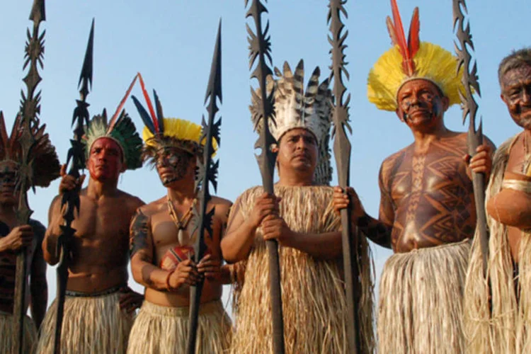 
	&Iacute;ndios:&nbsp;a presidenta da Funai avaliou como positivo o pedido de unidade feito por uma das principais lideran&ccedil;as ind&iacute;genas do pa&iacute;s.
 (WikimediaCommons)