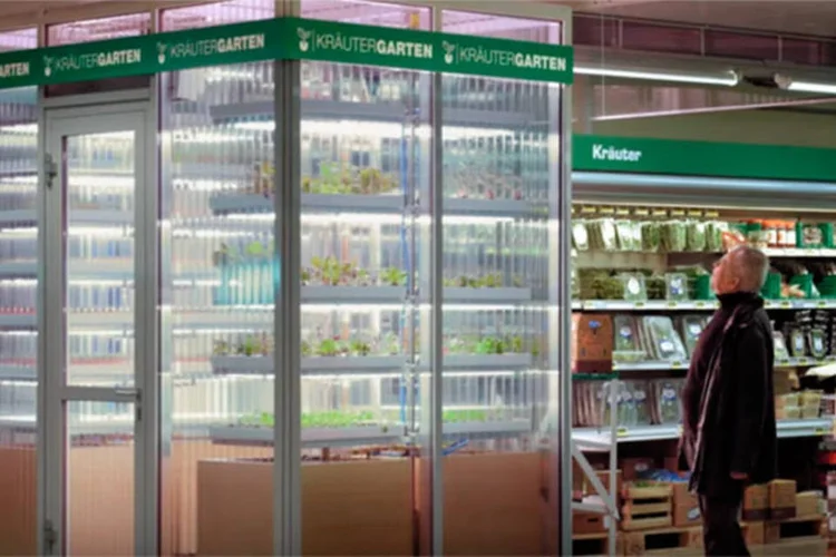 
	Microfazenda: a InFarm &eacute; uma unidade agr&iacute;cola compacta que traz o campo para dentro do supermercado.
 (INFARM / Reprodução Youtube)
