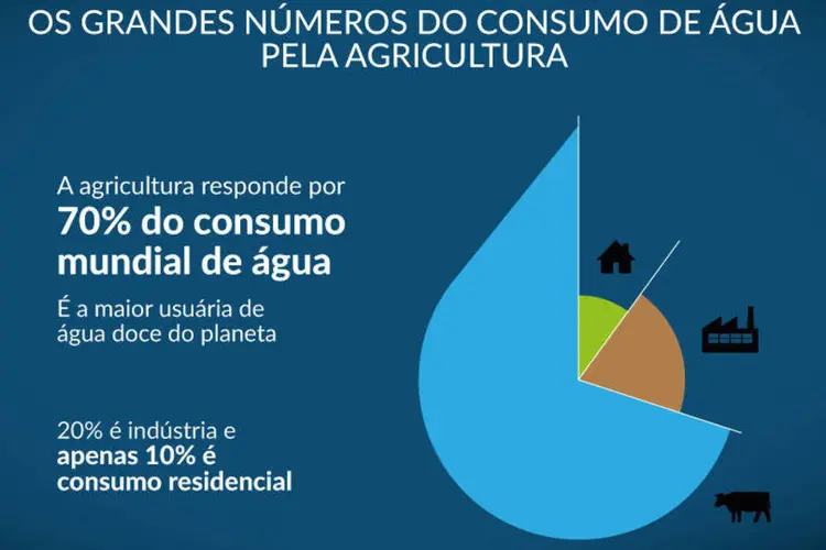 Infográfico "Os grandes números do consumo de água pela agricultura" (Rodrigo Sanches / EXAME.com)