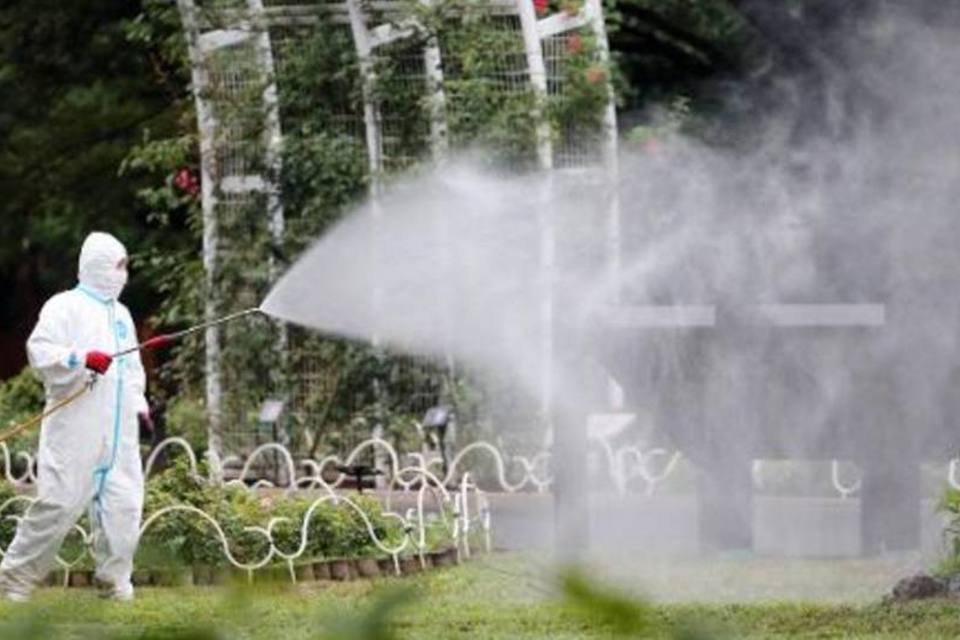Detectados 22 casos de dengue no Japão