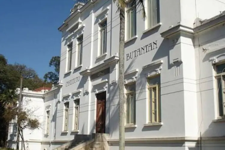 Biblioteca do Instituto Butantã: Todo a coleção de serpentes foi perdida. Animais não catalogados também (Wikimedia Commons)