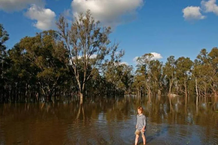 Governo desembolsou 3,98 milhões de dólares australianos (cerca de 3 milhões de euros) para assistir os cerca de 200 mil desabrigados (Scott Barbour/Getty Images)