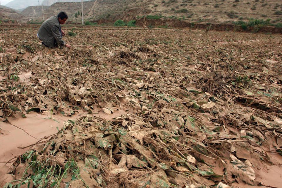 Inundações e secas provocam 83% de perdas agrícolas, diz FAO
