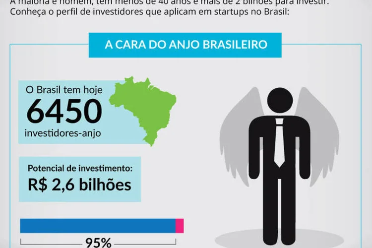 Infográfico sobre o perfil do investidor-anjo brasileiro (Exame.com)
