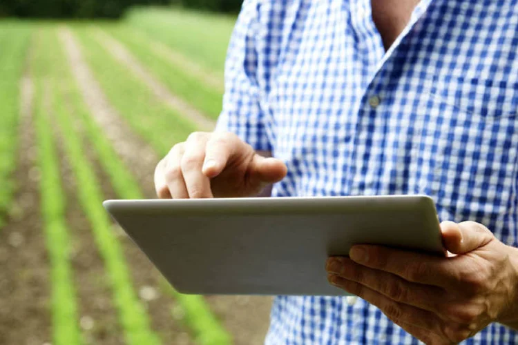 Gerente agrícola (Thinkstock/Divulgação)