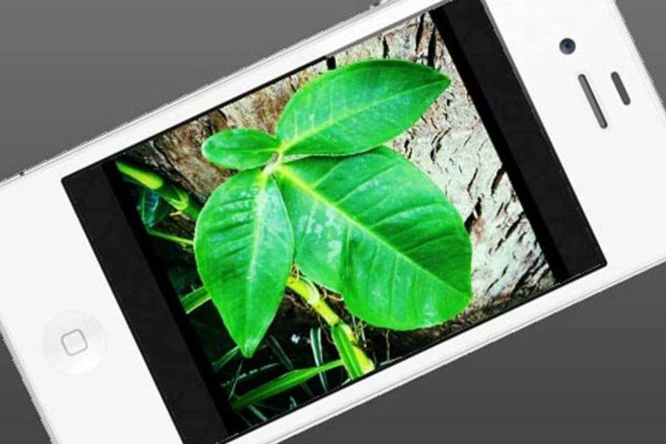 Empresa detecta primeiro vírus para iPhone e iPad
