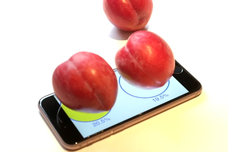 iPhone 6s usado como balança (Reprodução/YouTube/Simon Gladman)