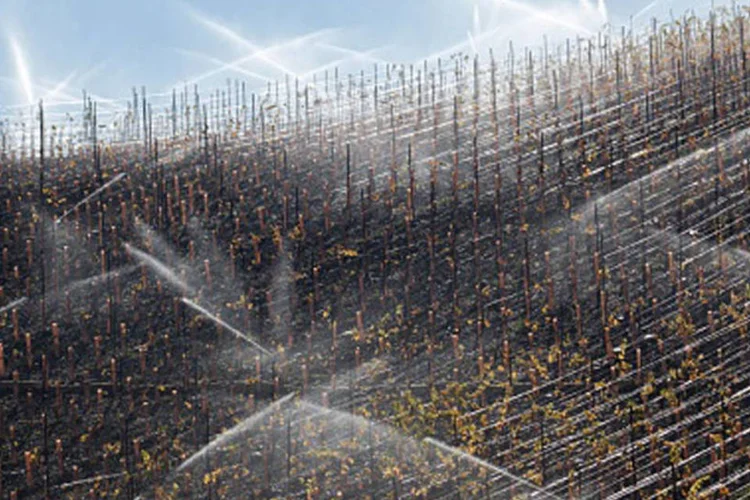 Irrigação: modelo da Embrapa calcula os valores adequados para diluição de agrotóxicos sem prejuízo à água (Getty Images)