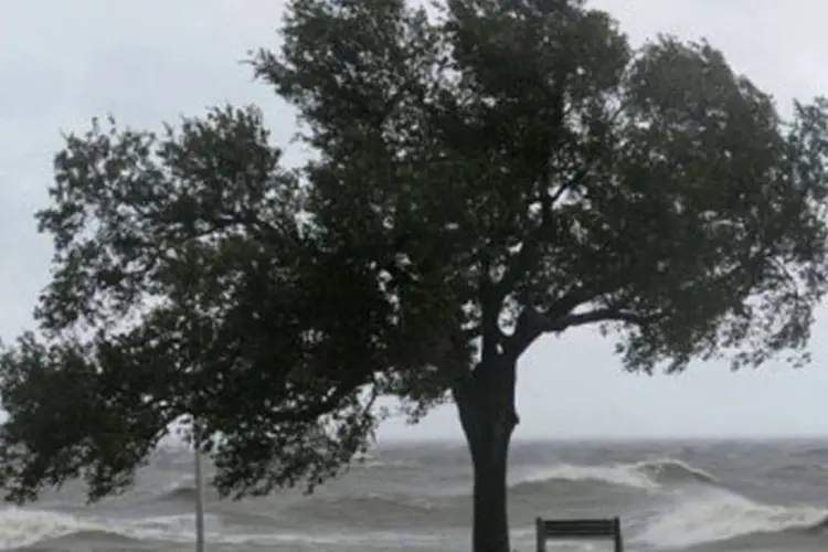 
	Fortes ventos e grandes ondas em Nova Orleans:&nbsp;tempestade se desloca com uma velocidade de 19 km/h e meteorologistas afirmam que se transformar&aacute; em furac&atilde;o&nbsp;
 (Frederic J. Brown/AFP)