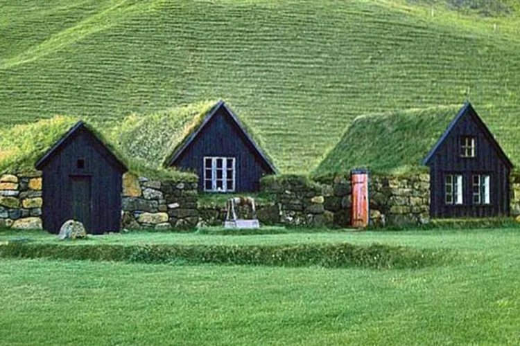 Eles dão exemplo de cuidado com o ambiente e as pessoas (Wikimedia Commons)