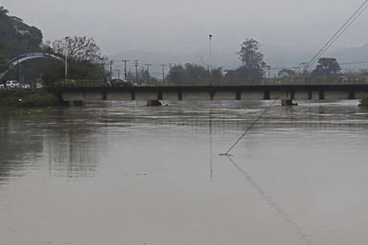 Na atual safra do trigo, foram plantados 120 mil hectares de trigo e a projeção de colheita, antes da chuva, era 304 mil toneladas (Foto Leitor/Virgínia Cardoso /Abr)