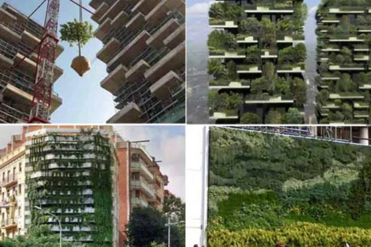 Do cinza para o verde (Montagem sobre divulgação)