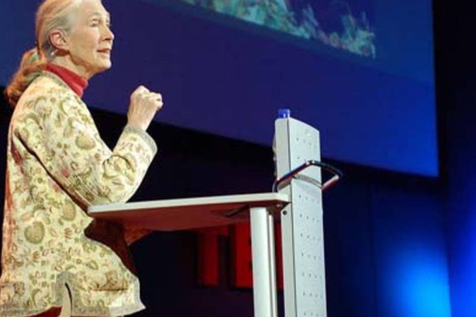 Jane Goodall alerta para perda da biodiversidade