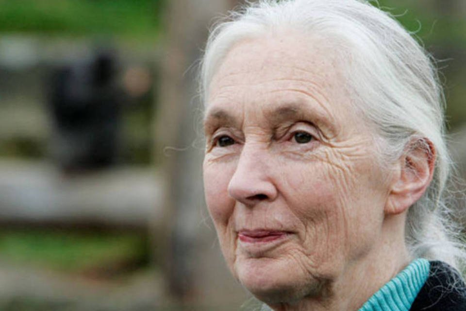 O "desprezo" pela natureza causa esta pandemia, afirma Jane Goodall