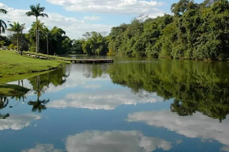 
	Morte: Claudionor foi encontrado no Jardim Bot&acirc;nico de Goi&acirc;nia, segundo o jornal &#39;O Popular&#39;, enforcado em uma &aacute;rvore. A Pol&iacute;cia Civil trabalha com a hip&oacute;tese de suic&iacute;dio
 (Divulgação / Jardim Botânico de Goiânia)