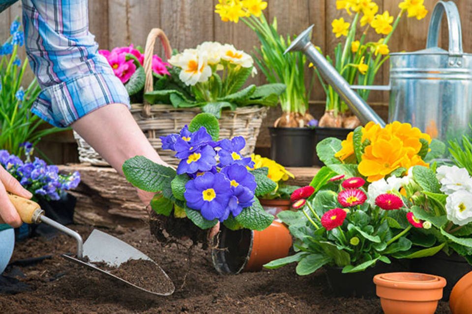 12 projetos incríveis de jardins para você se inspirar