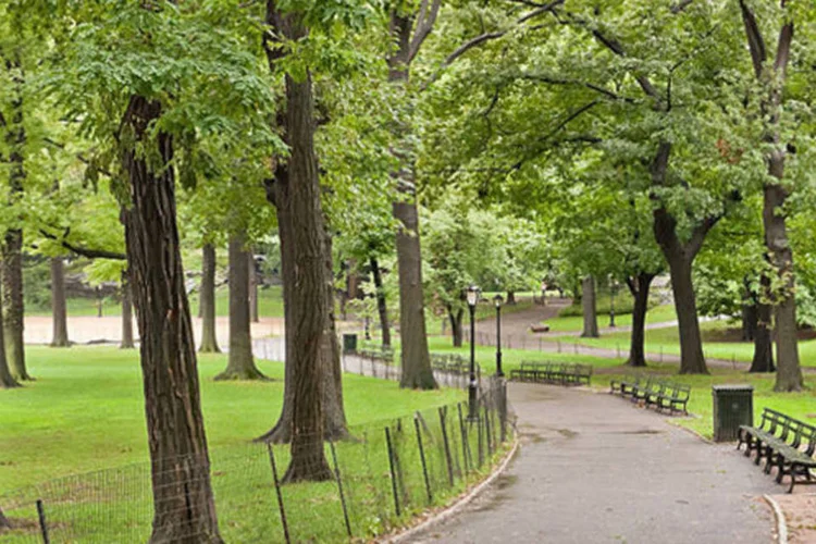 Central Park (Divulgação)